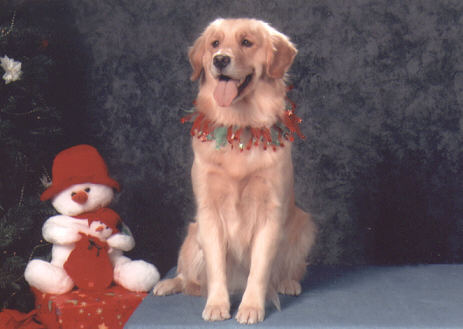 Merry Christmas !