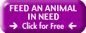 Animal Rescue